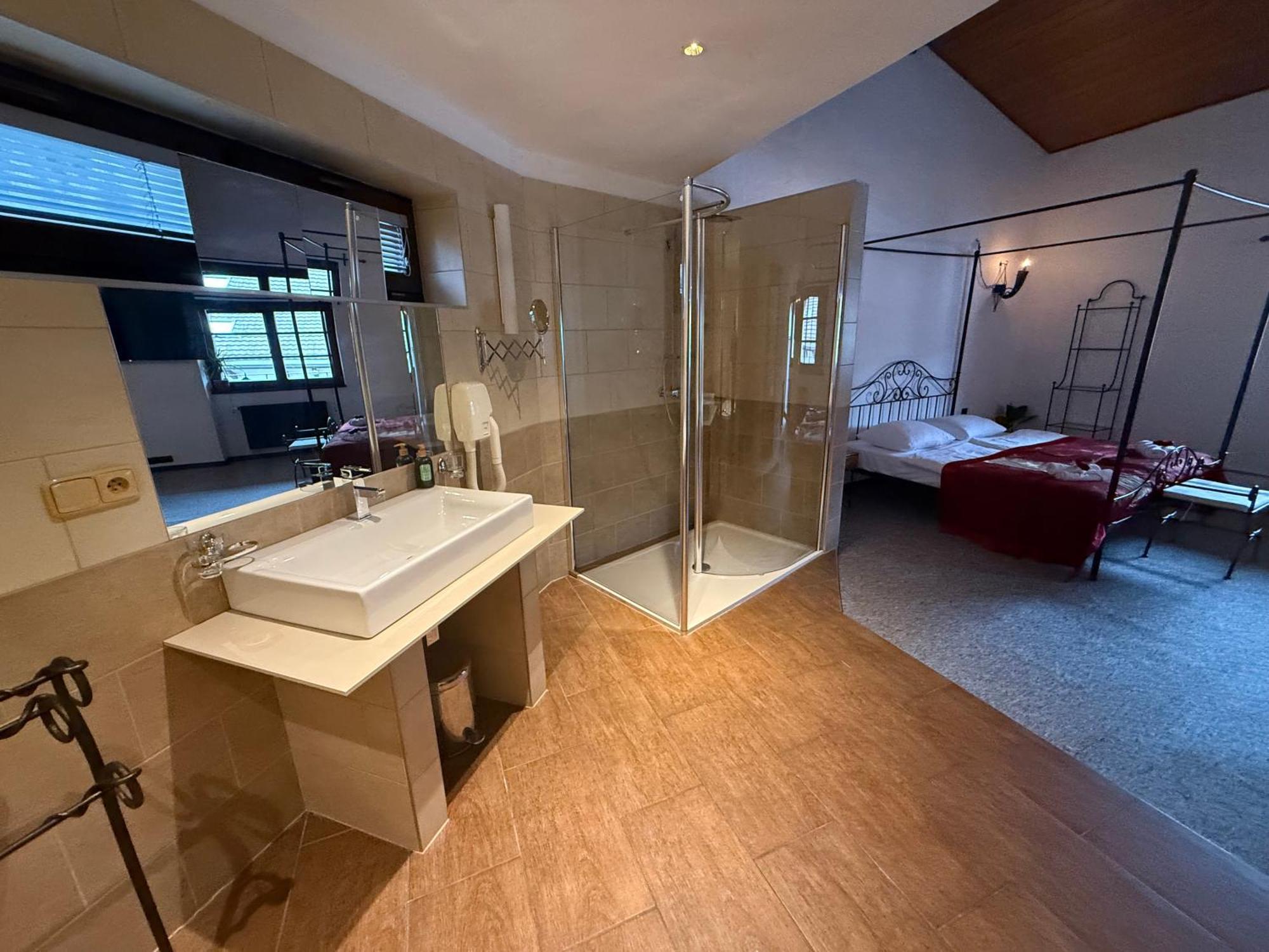Hotel Plzensky Dvur Frýdek-Místek Dış mekan fotoğraf
