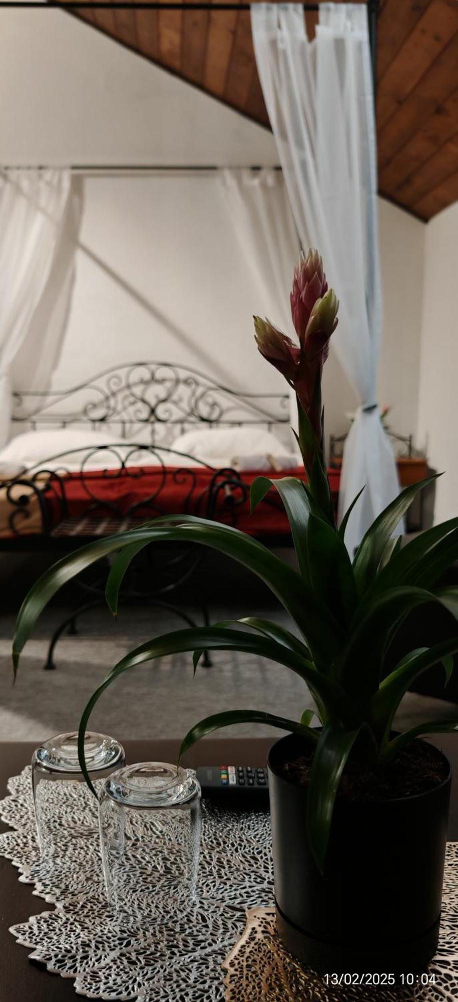 Hotel Plzensky Dvur Frýdek-Místek Dış mekan fotoğraf